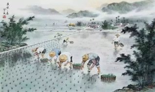 端牢中国饭碗 重视节约粮食 严守耕地